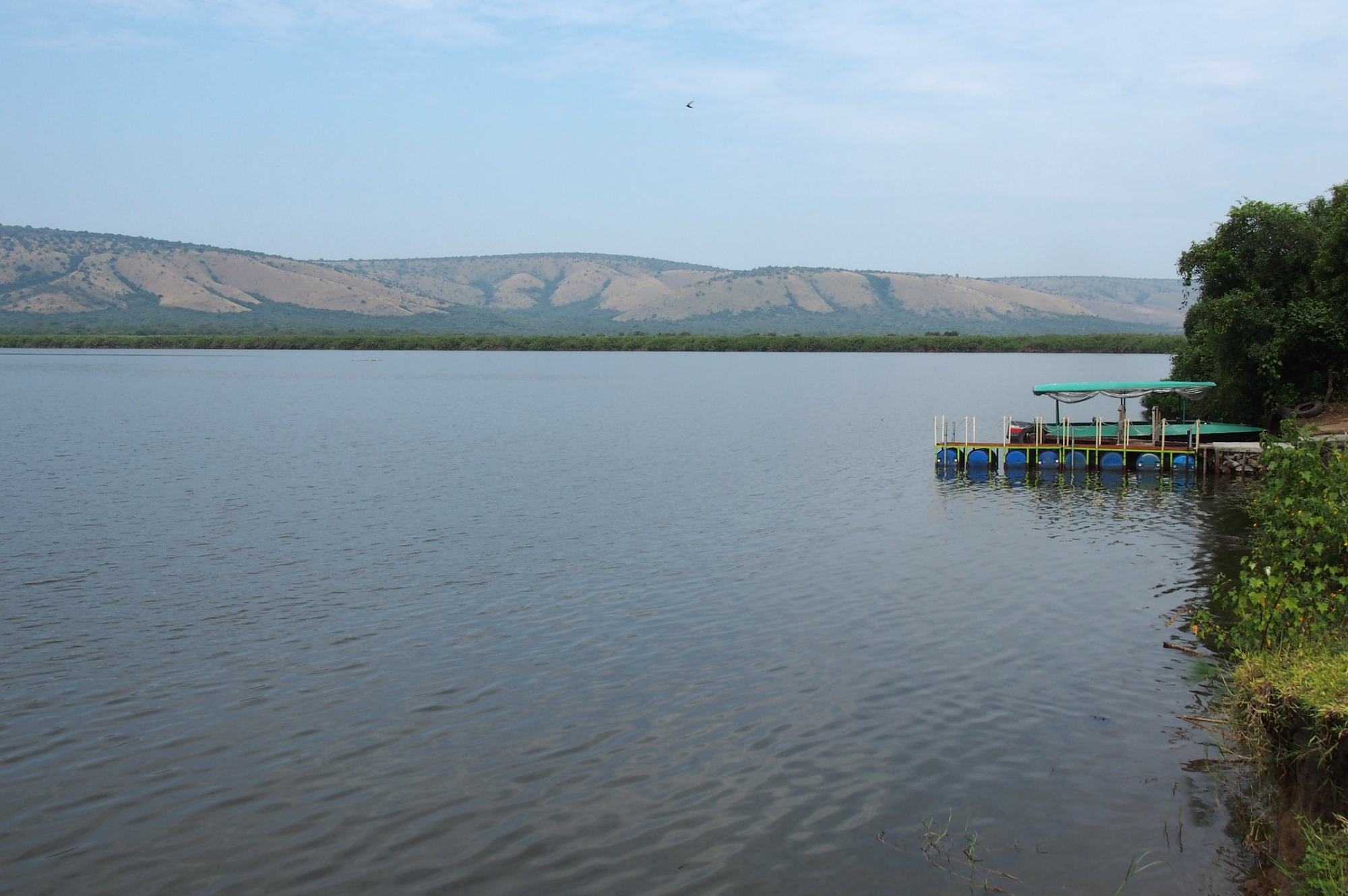 1 day lake mburo national park safari 2