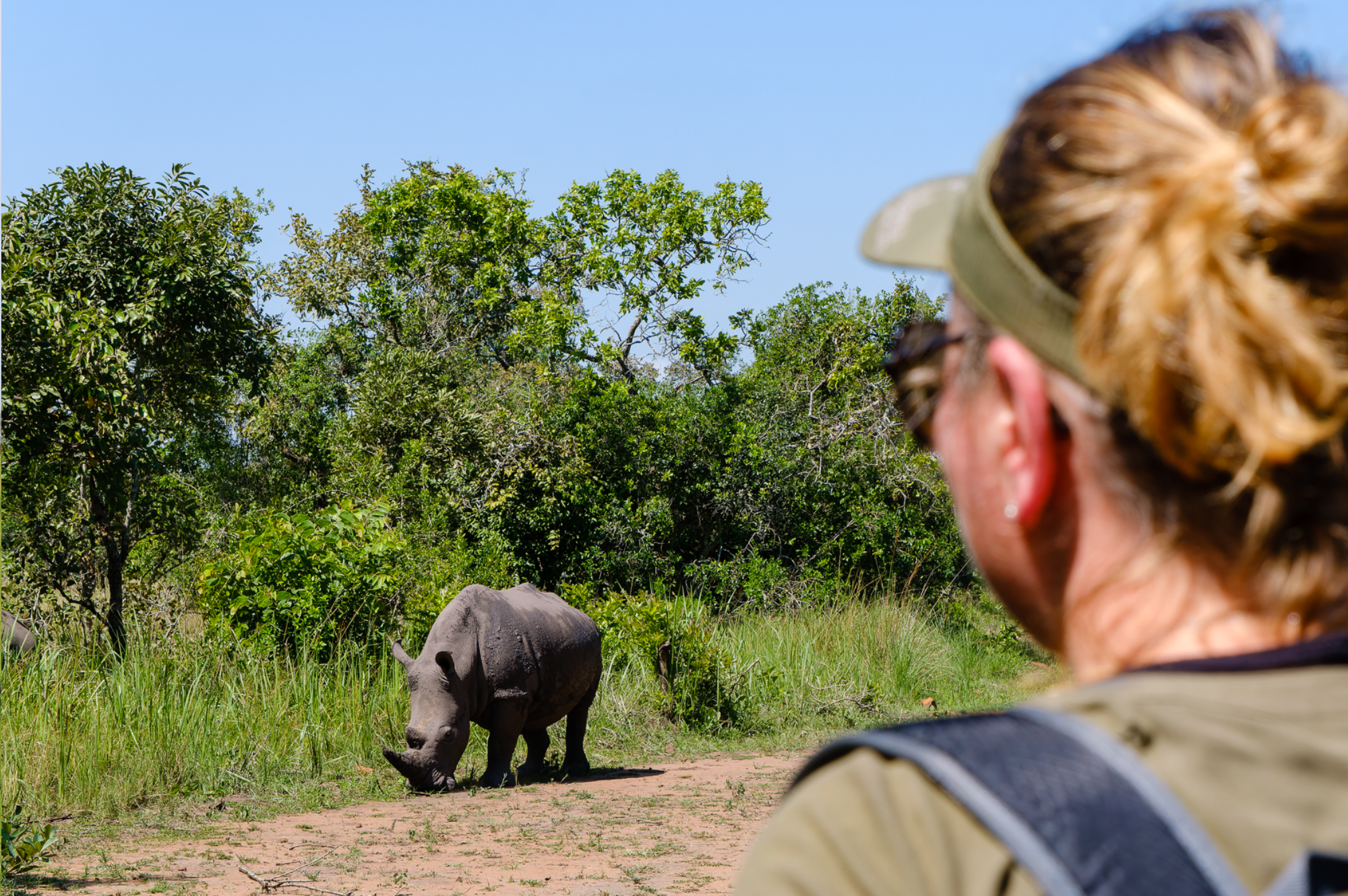 1 day trip to ziwa rhino sanctuary 1