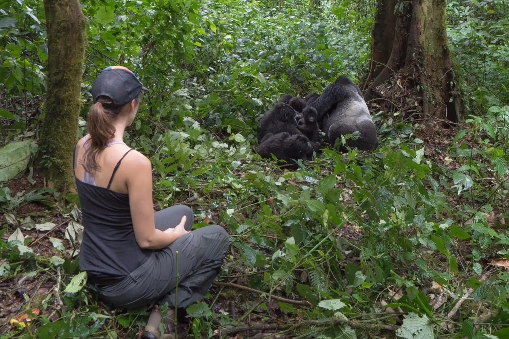 5 Days Gorilla Safari Attractions