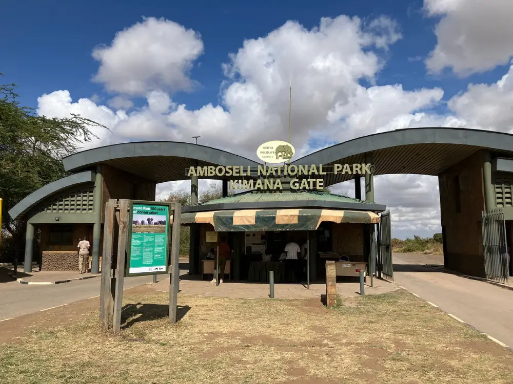amboseli national park 12
