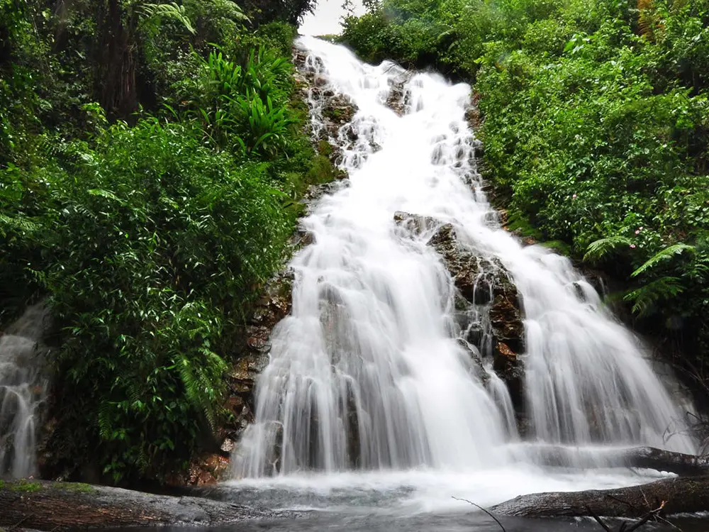 bwindi impenetrable national park 11