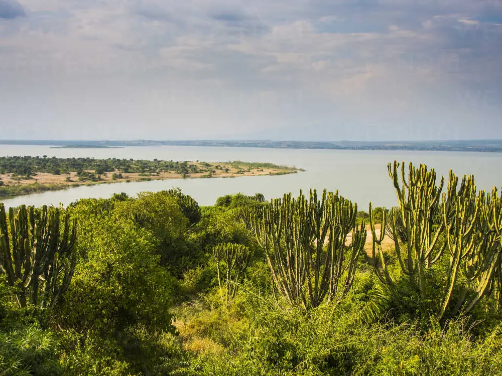 kazinga channel 11