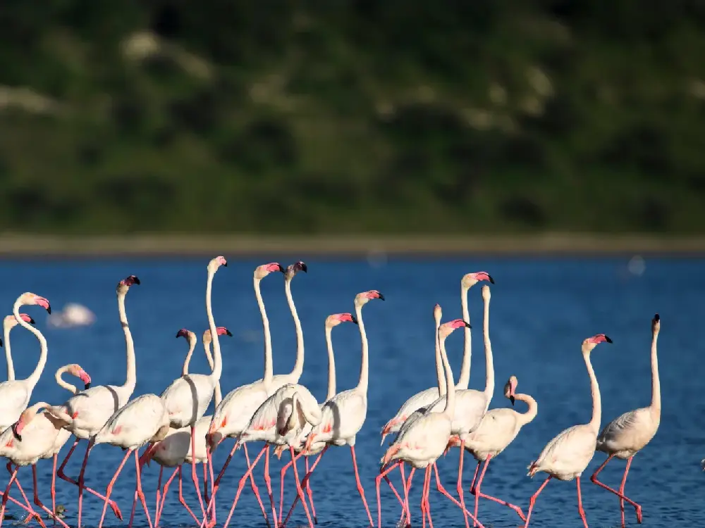 lake manyara national park 11