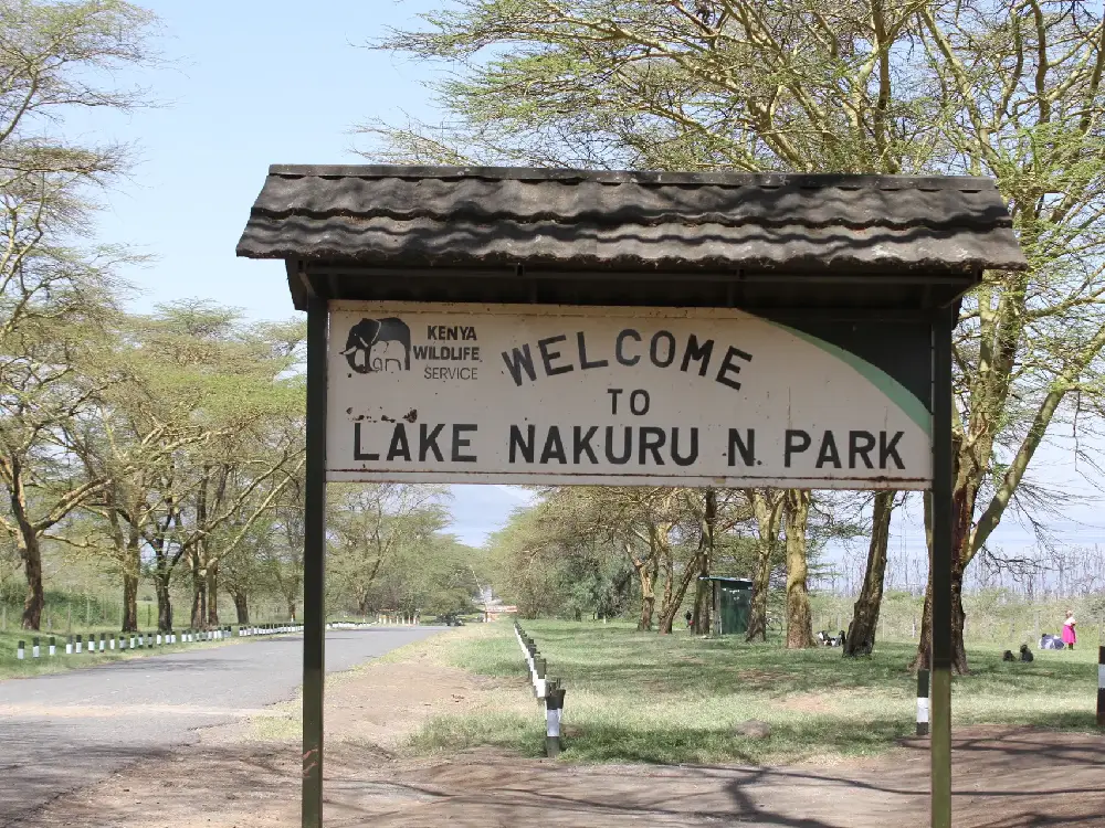 lake nakuru national park 11