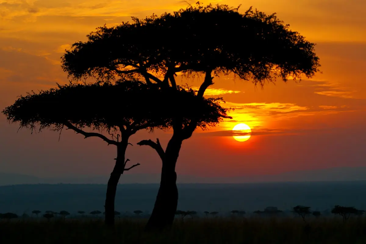 masai mara national reserve 14