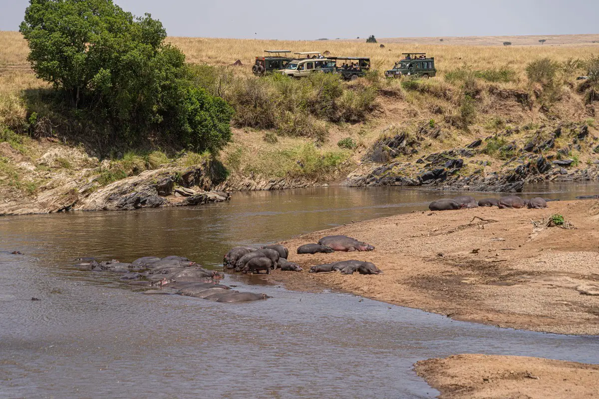 masai mara national reserve 2