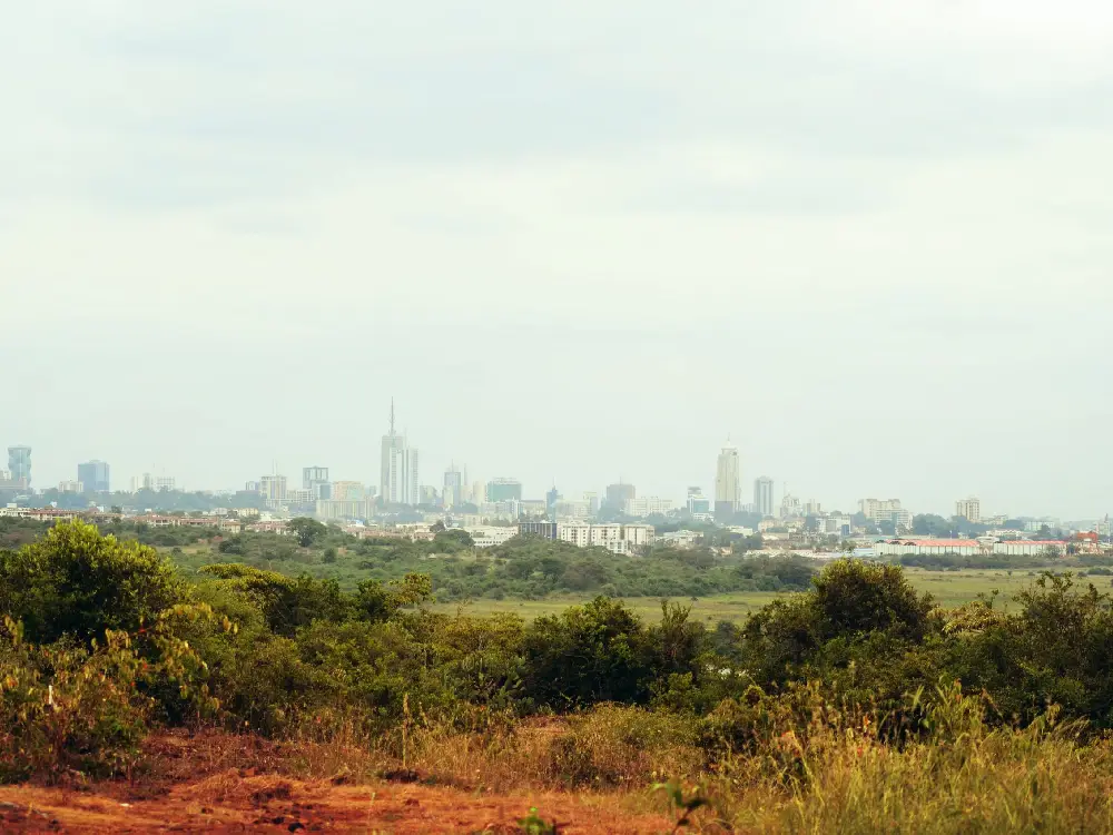 nairobi national park 11
