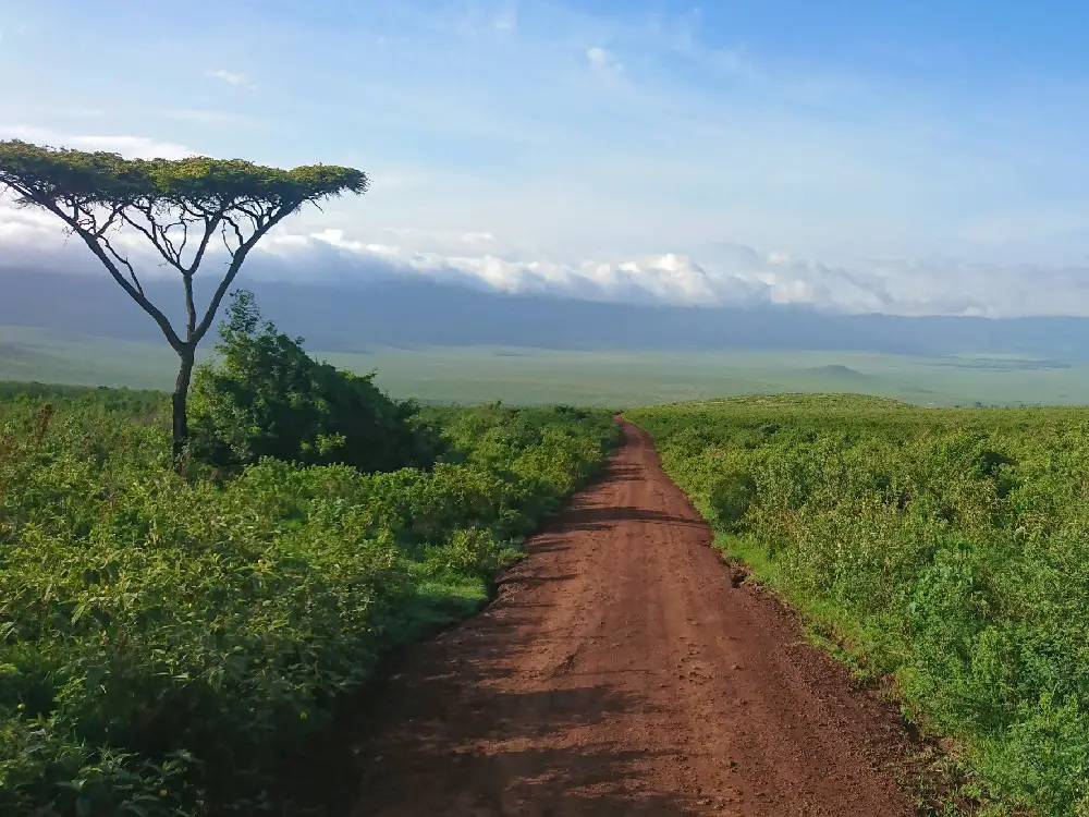 ngorongoro crater 12