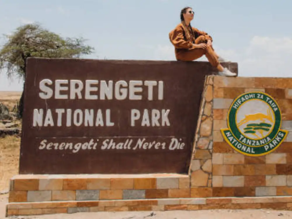 serengeti national park 12