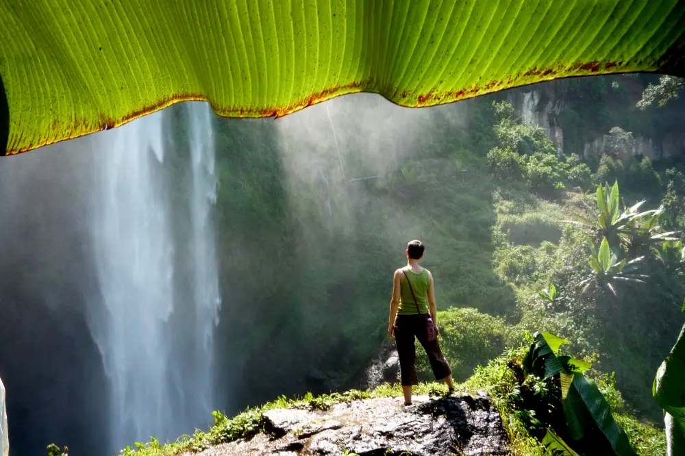 sipi fall 12