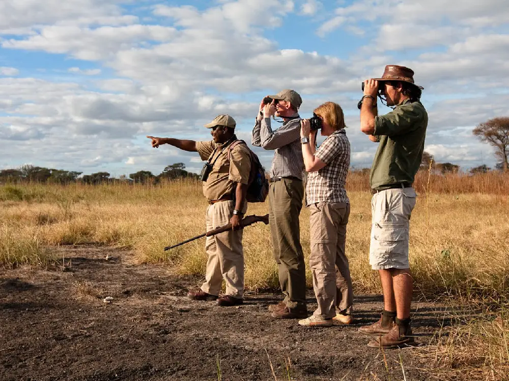 tarangire national park 11