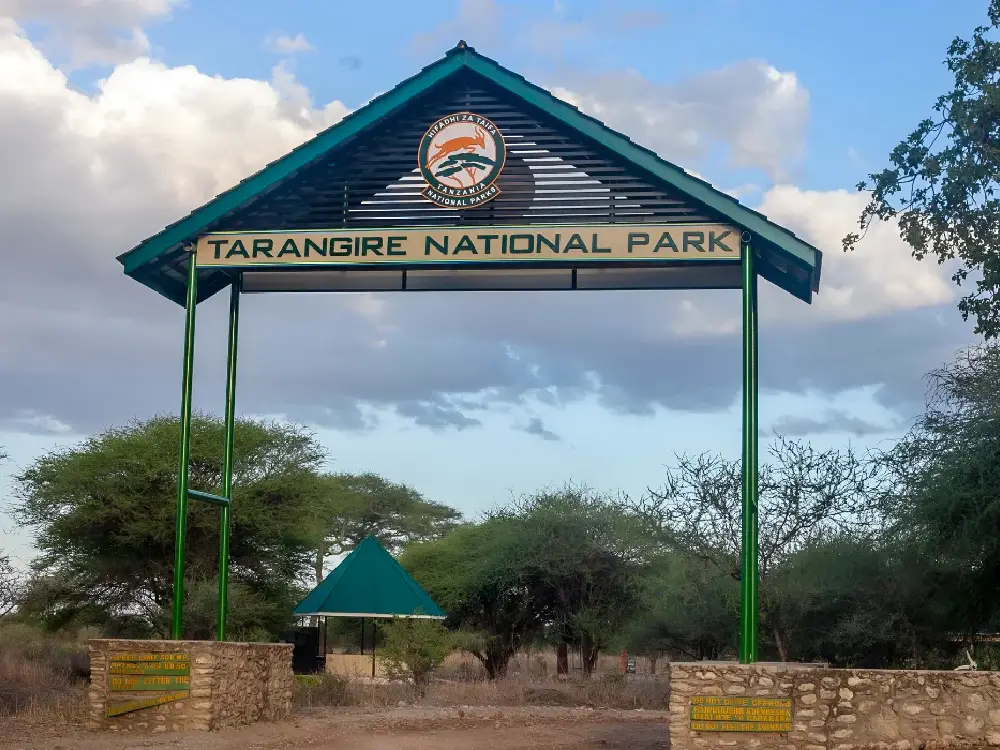tarangire national park 12