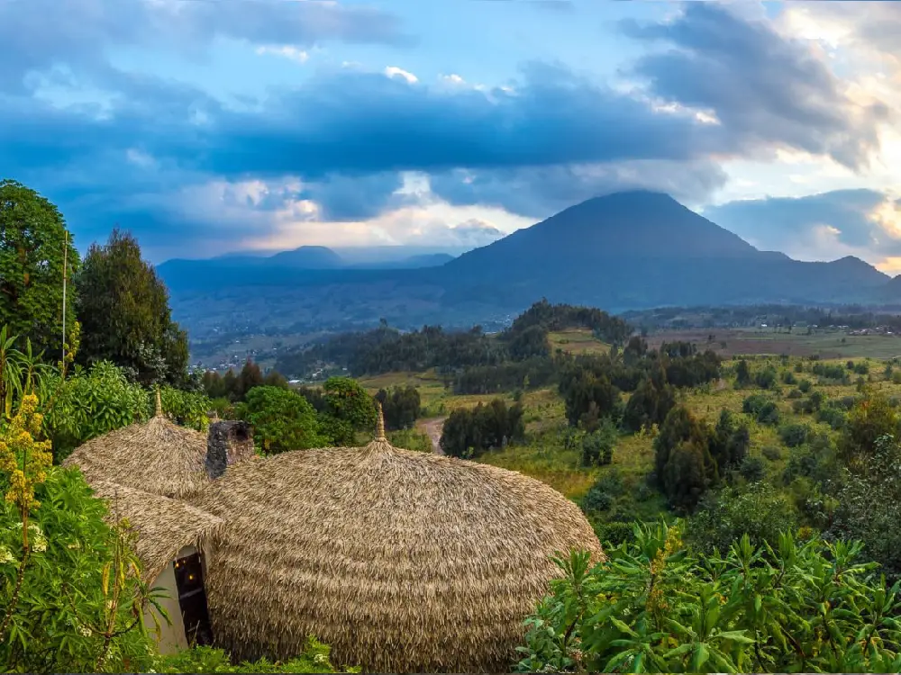 volcanoes national park rwanda 12