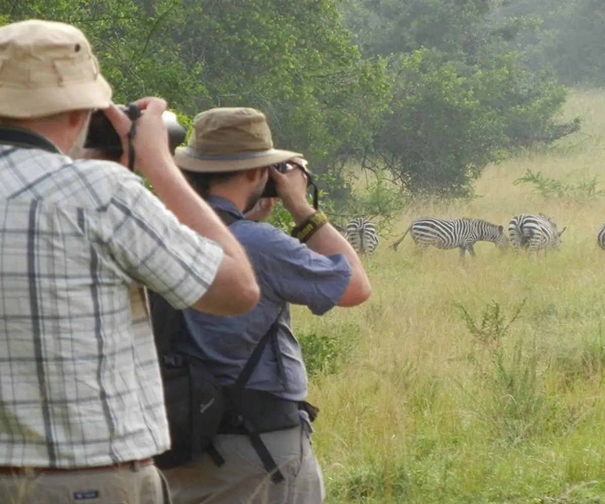 16 days best uganda birding safari1