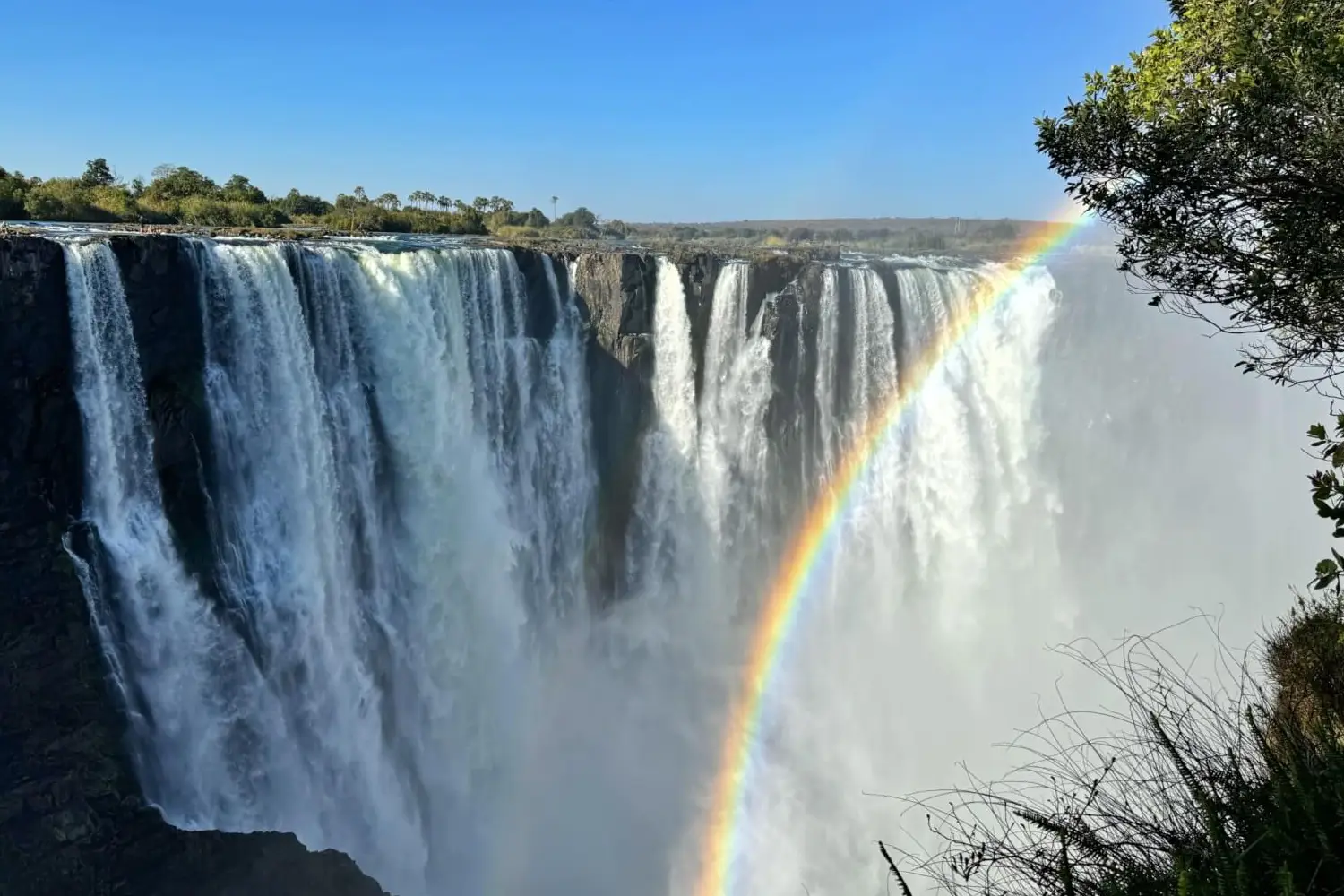 Zimbabwe Safari Tours