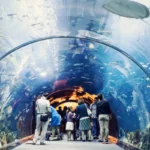 Dubai Destinations