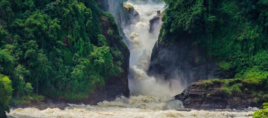 Best Time to Visit Uganda