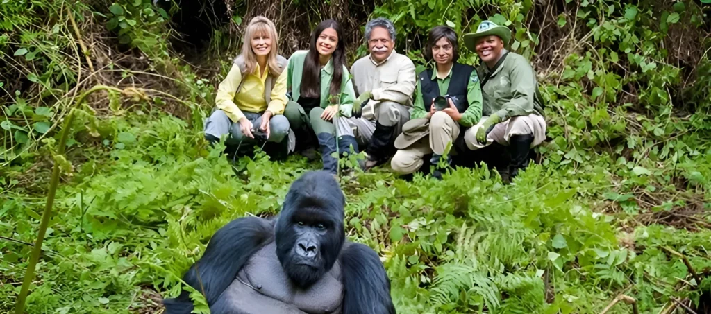 Uganda Safari Guide
