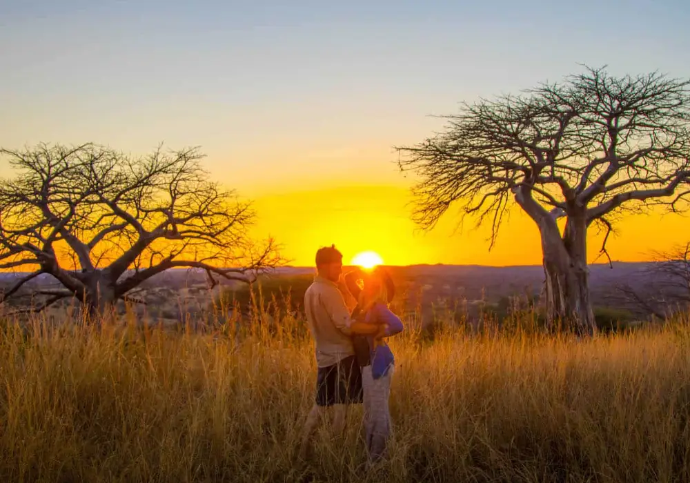honeymoon safari12 1
