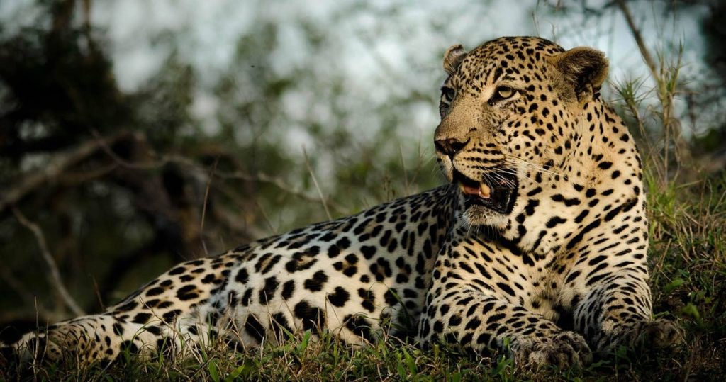 Lower Zambezi NP 1024x539