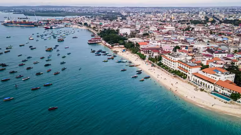 pexels droneafrica 17732689 768x432 (1)