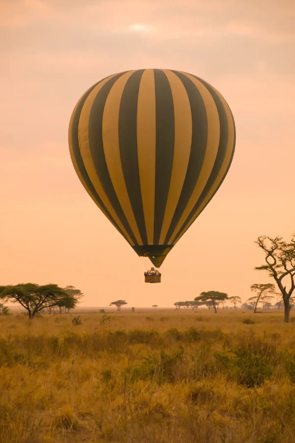 Masai Mara National Reserve Attraction 13s