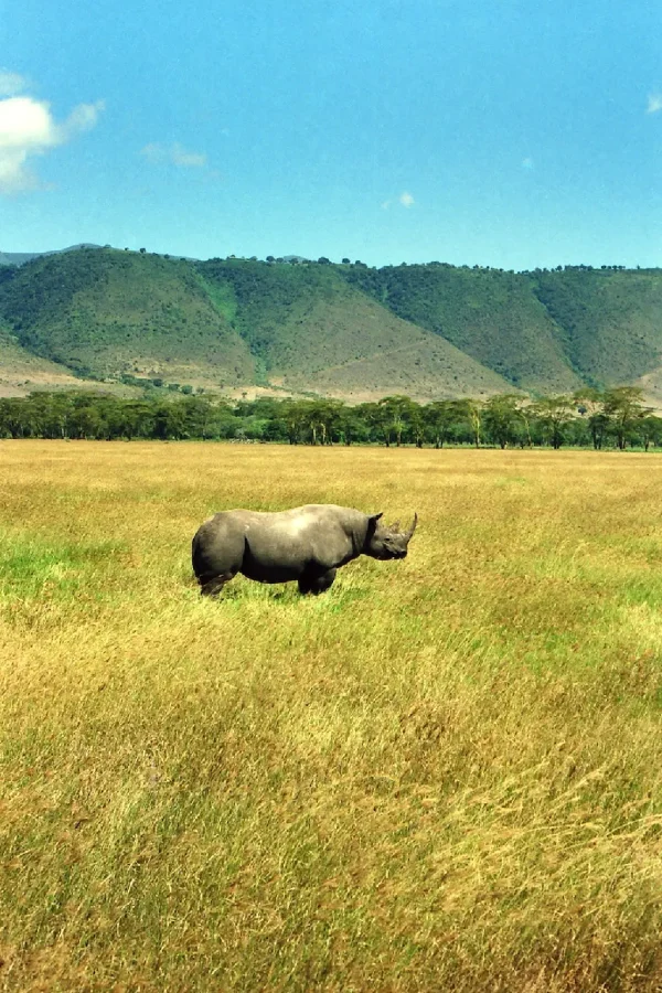 ngorongoro crater 1