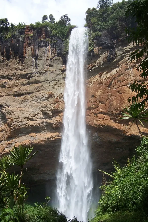 sipi fall 1 1