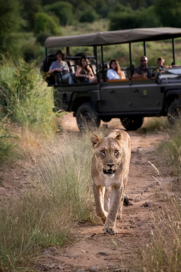 tarangire national park 6
