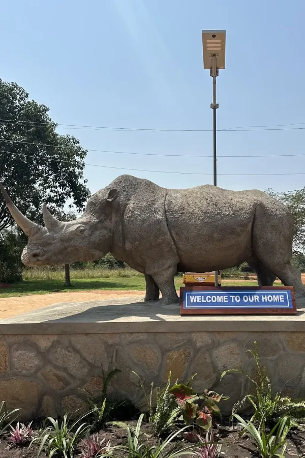 ziwa rhino sanctuary 2